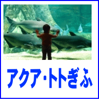 アクア・トト ぎふ 入館券